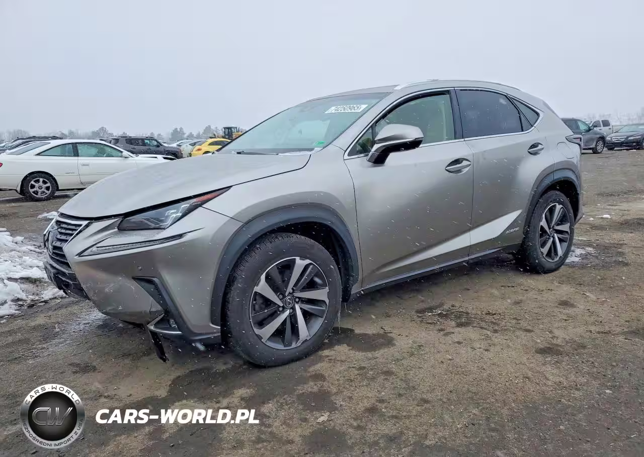 2018 Lexus Nx 300H