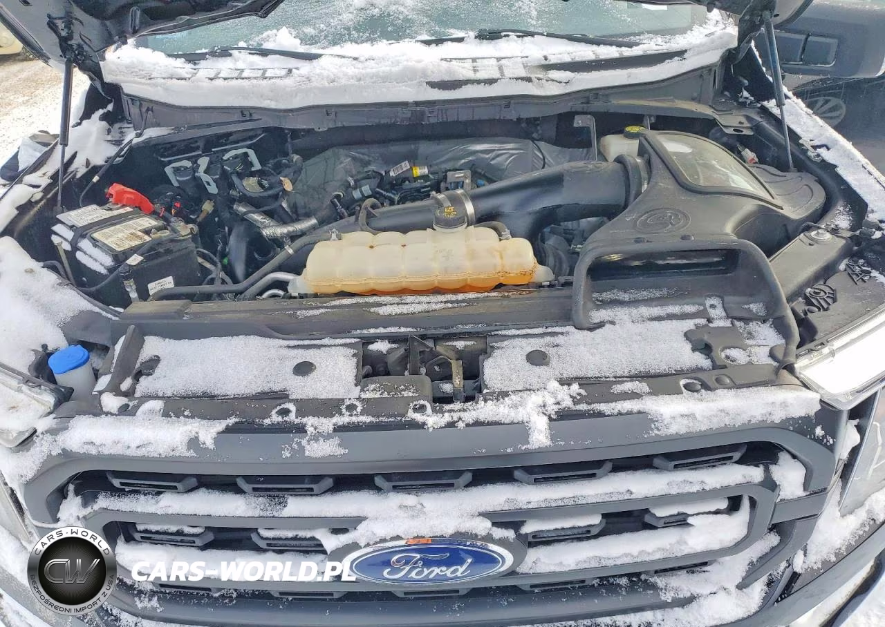 2021 Ford F150 Supercrew VIN:1FTEW1EP4MFD06380 - 11