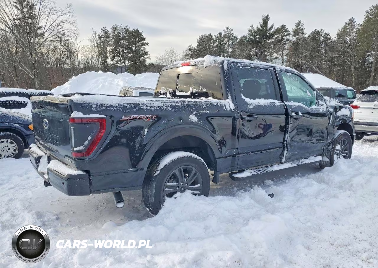 2021 Ford F150 Supercrew VIN:1FTEW1EP4MFD06380 - 3