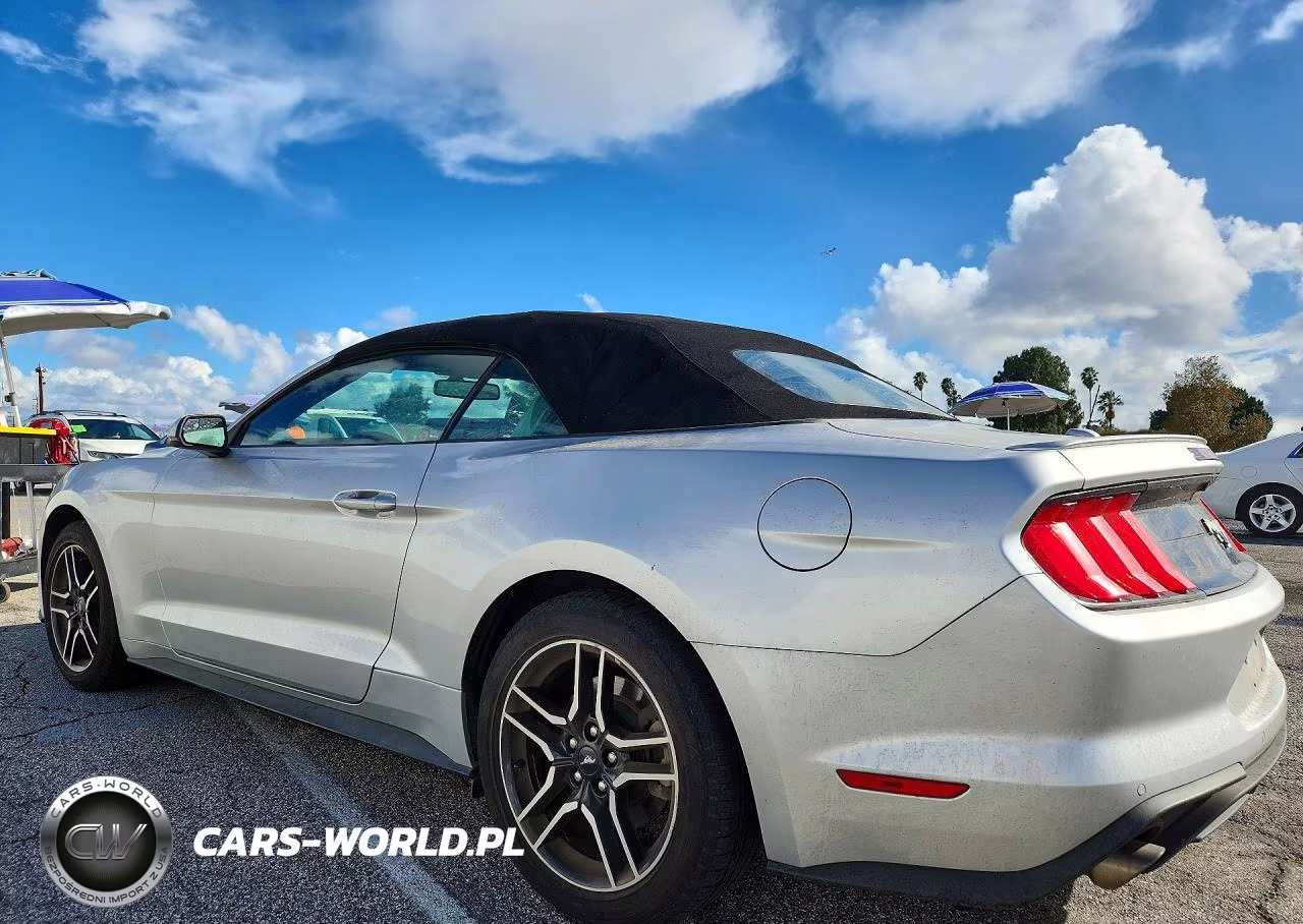 2019 Ford Mustang VIN:1FATP8UH8K5104285 - 2
