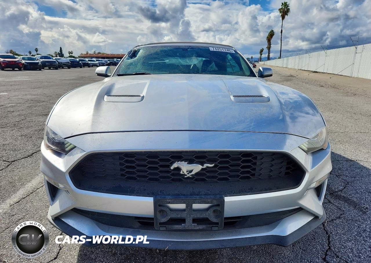 2019 Ford Mustang VIN:1FATP8UH8K5104285 - 5
