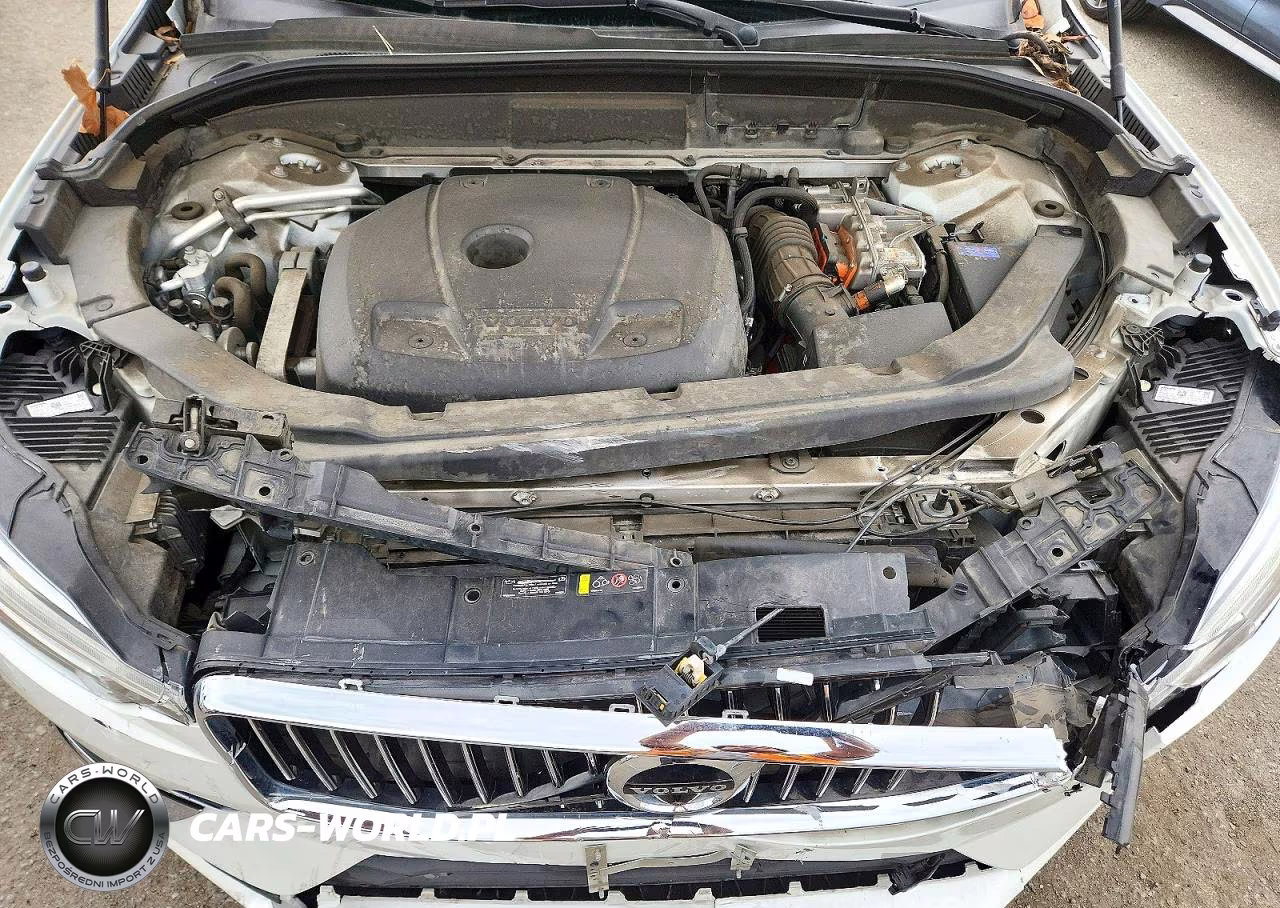 2019 Volvo Xc60 T8 Inscription VIN:LYVBR0DL7KB224827 - 11
