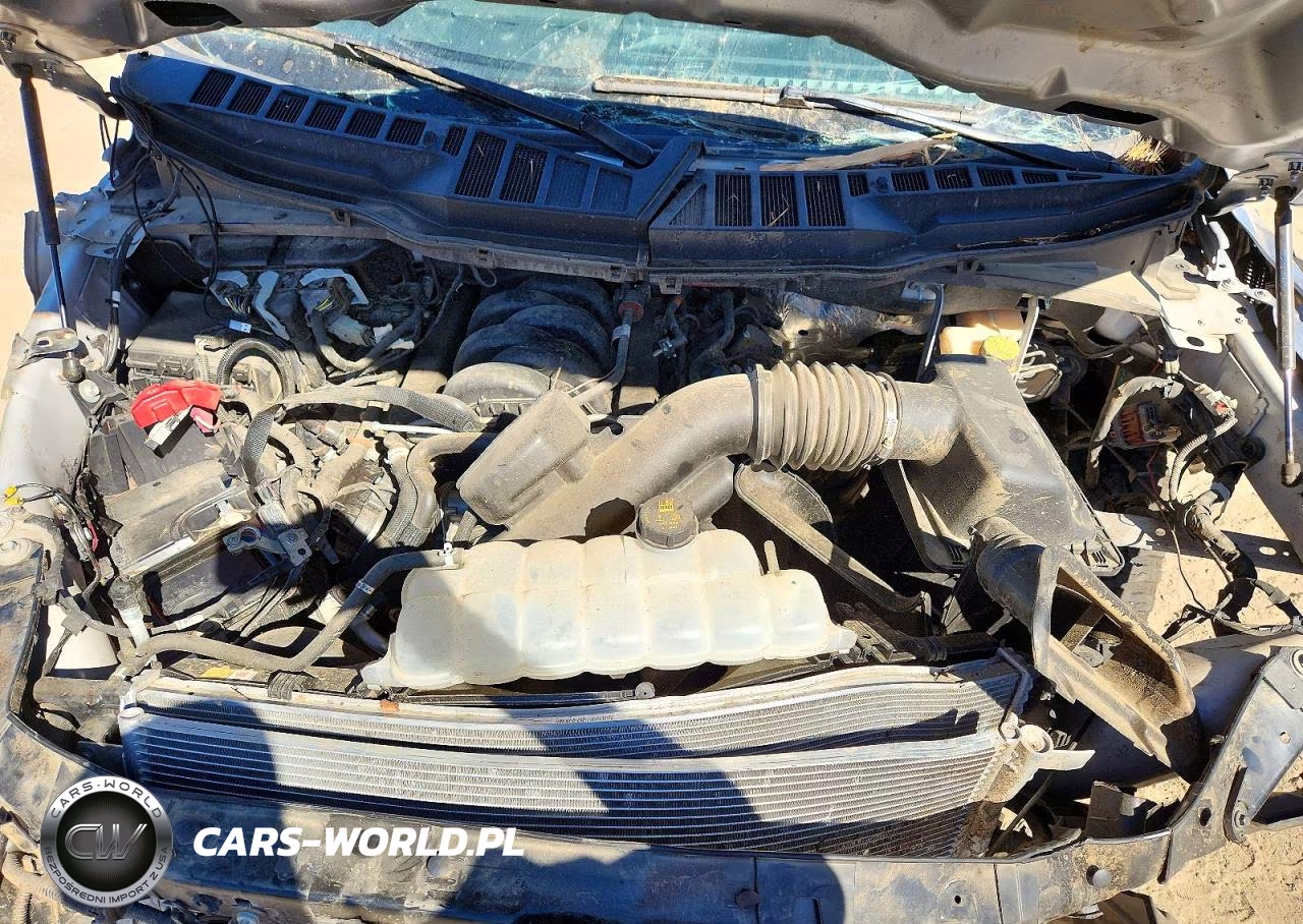2024 Ford F150 Xl VIN:1FTFW1L51RKE84350 - 11