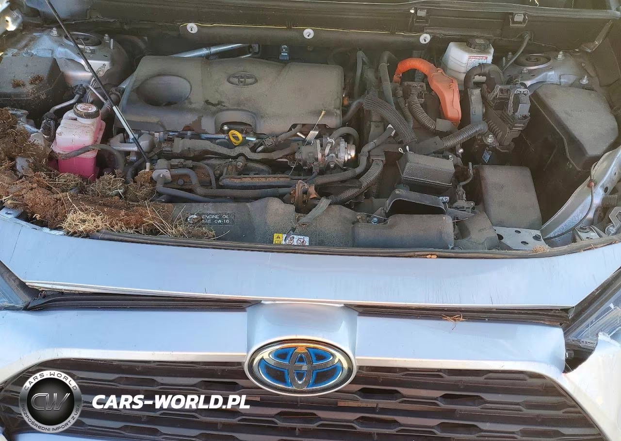 2022 Toyota Rav4 Le VIN:JTMLWRFV7ND141585 - 12