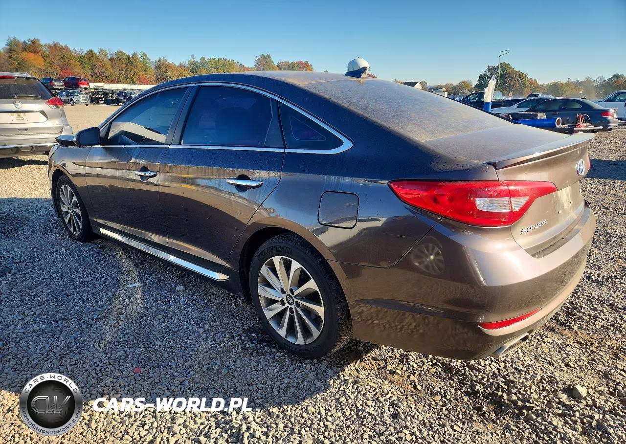 2016 Hyundai Sonata Sport VIN:5NPE34AF4GH319938 - 2