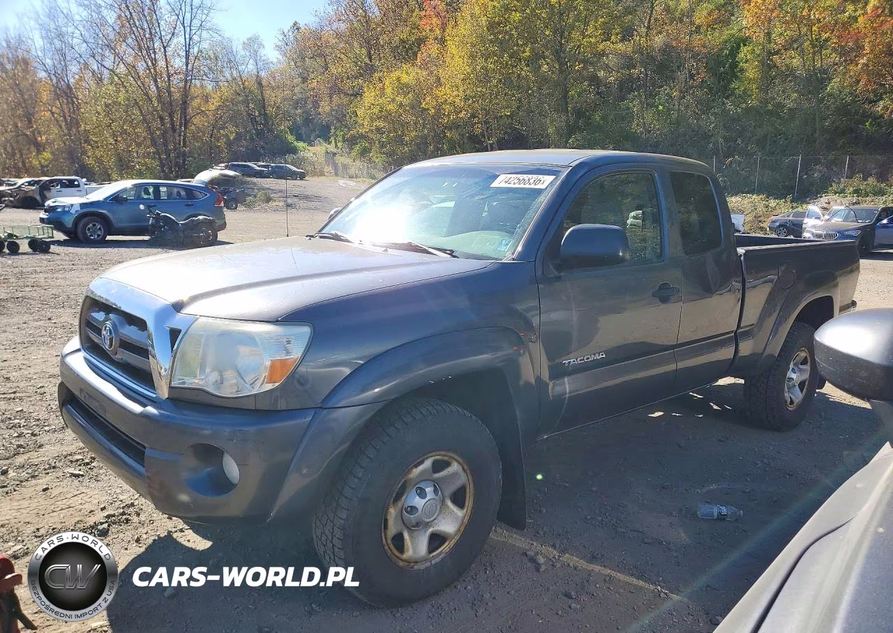 2010 Toyota Tacoma V6 VIN:5TEUU4EN6AZ685608 - 1