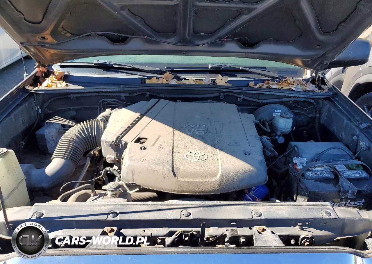 2010 Toyota Tacoma V6 VIN:5TEUU4EN6AZ685608 - 11