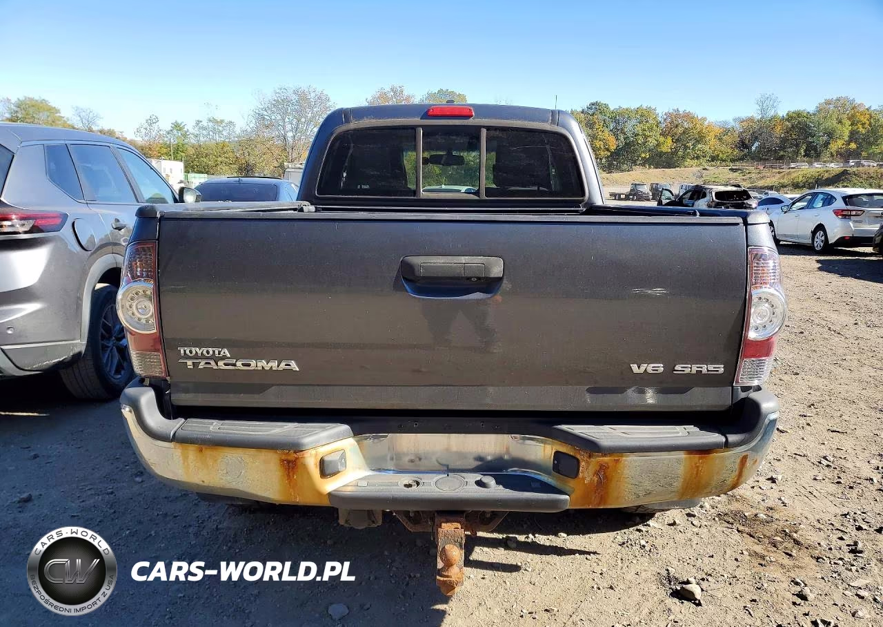 2010 Toyota Tacoma V6 VIN:5TEUU4EN6AZ685608 - 6