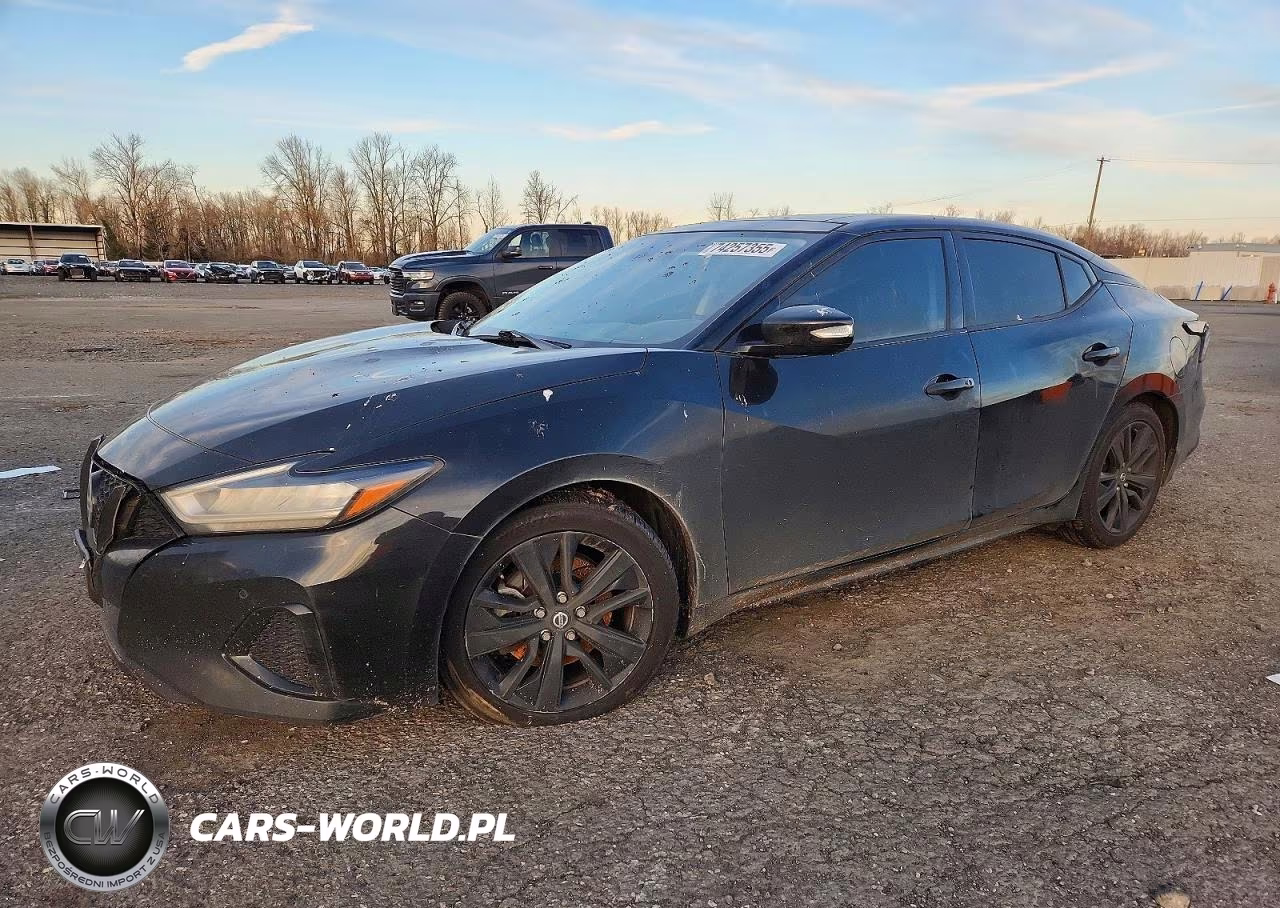 2019 Niss Maxima
