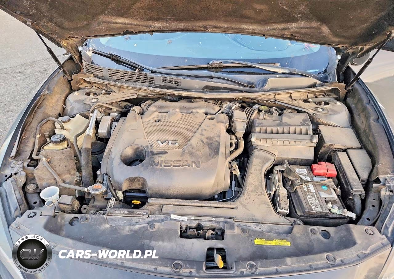 2019 Niss Maxima VIN:1N4AA6AV2KC384398 - 11