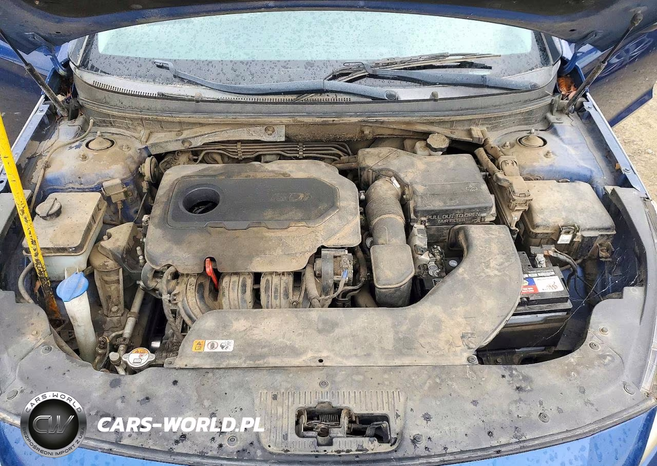2016 Hyundai Sonata Se VIN:5NPE24AF2GH366212 - 11