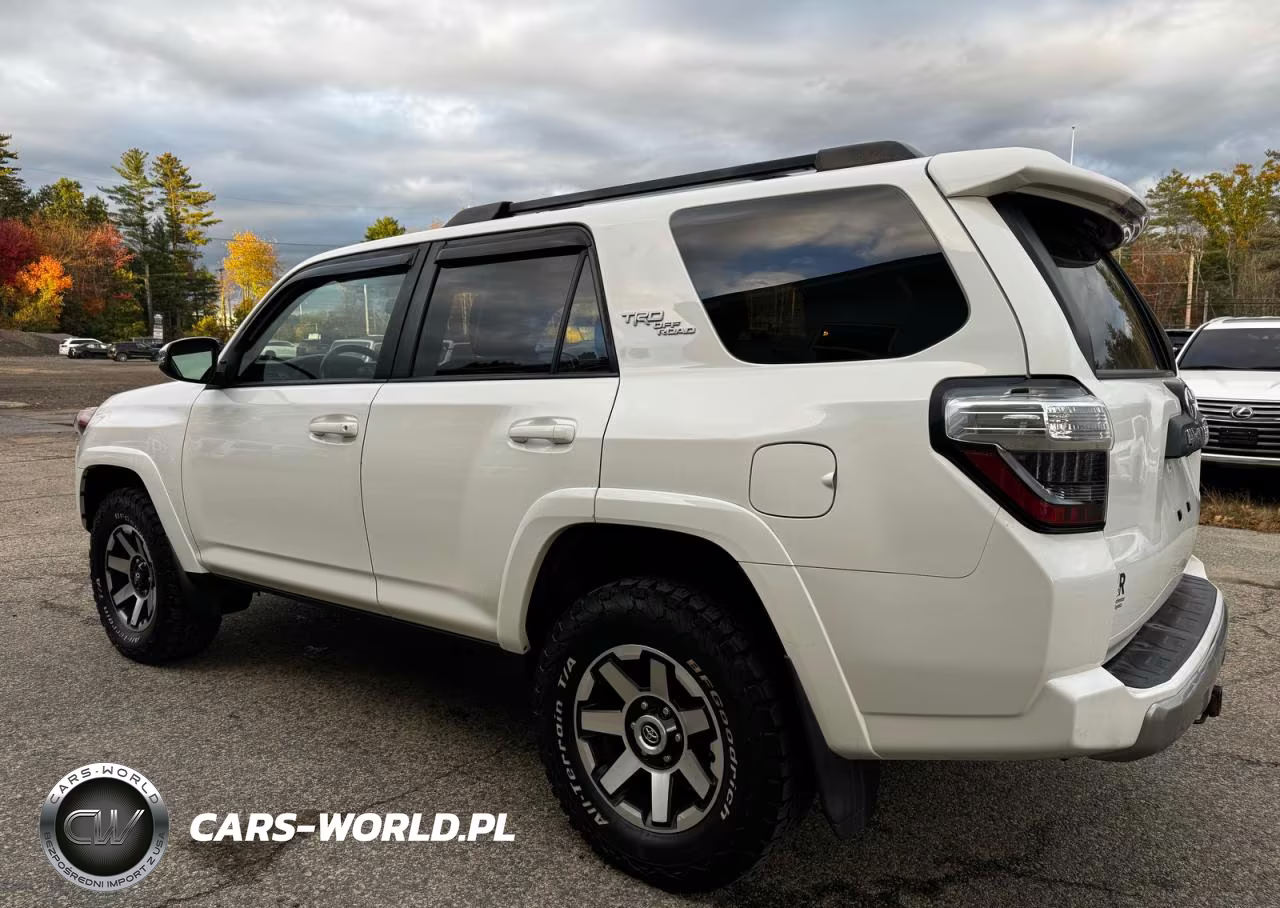 2019 Toyota 4Runner Trd Off Road Premium VIN:JTEBU5JR1K5632241 - 3