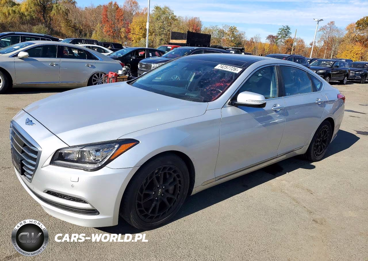 2015 Hyundai Genesis 3.8L VIN:KMHGN4JE2FU065656 - 1