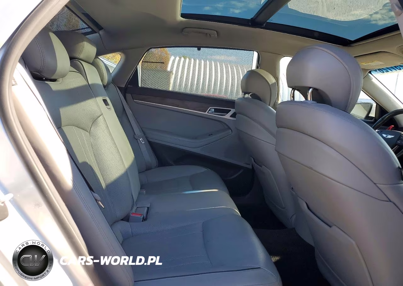 2015 Hyundai Genesis 3.8L VIN:KMHGN4JE2FU065656 - 10