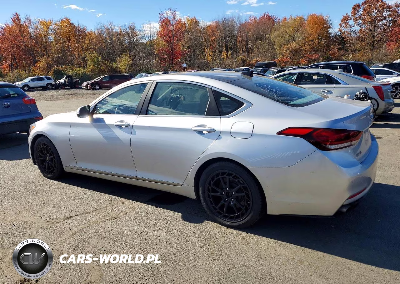2015 Hyundai Genesis 3.8L VIN:KMHGN4JE2FU065656 - 2