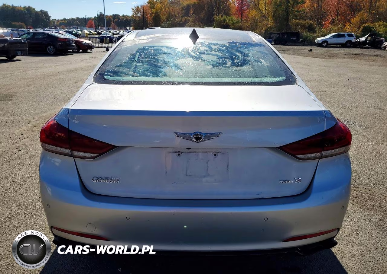 2015 Hyundai Genesis 3.8L VIN:KMHGN4JE2FU065656 - 6