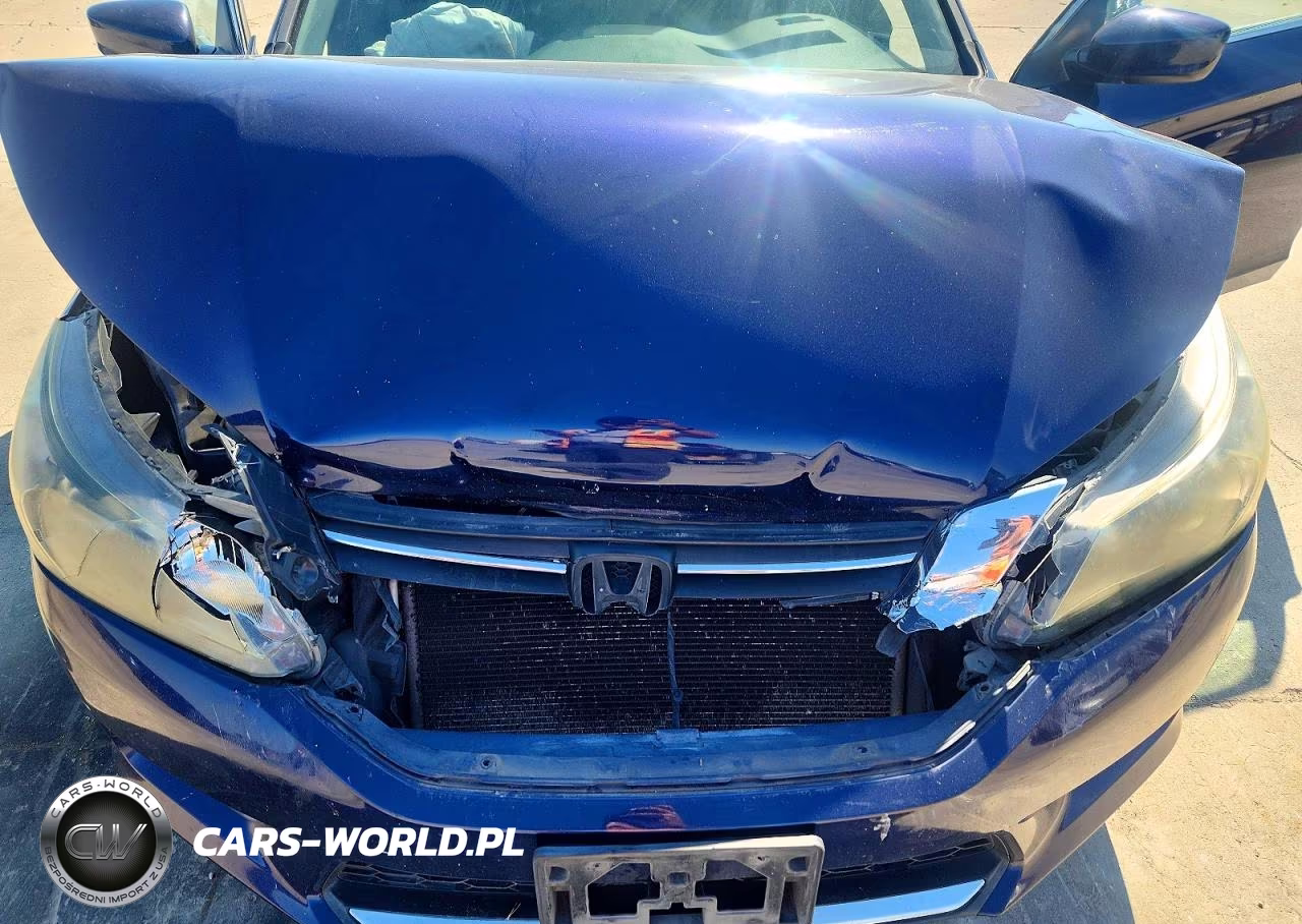 2014 Honda Accord Sport VIN:1HGCR2F57EA017687 - 11