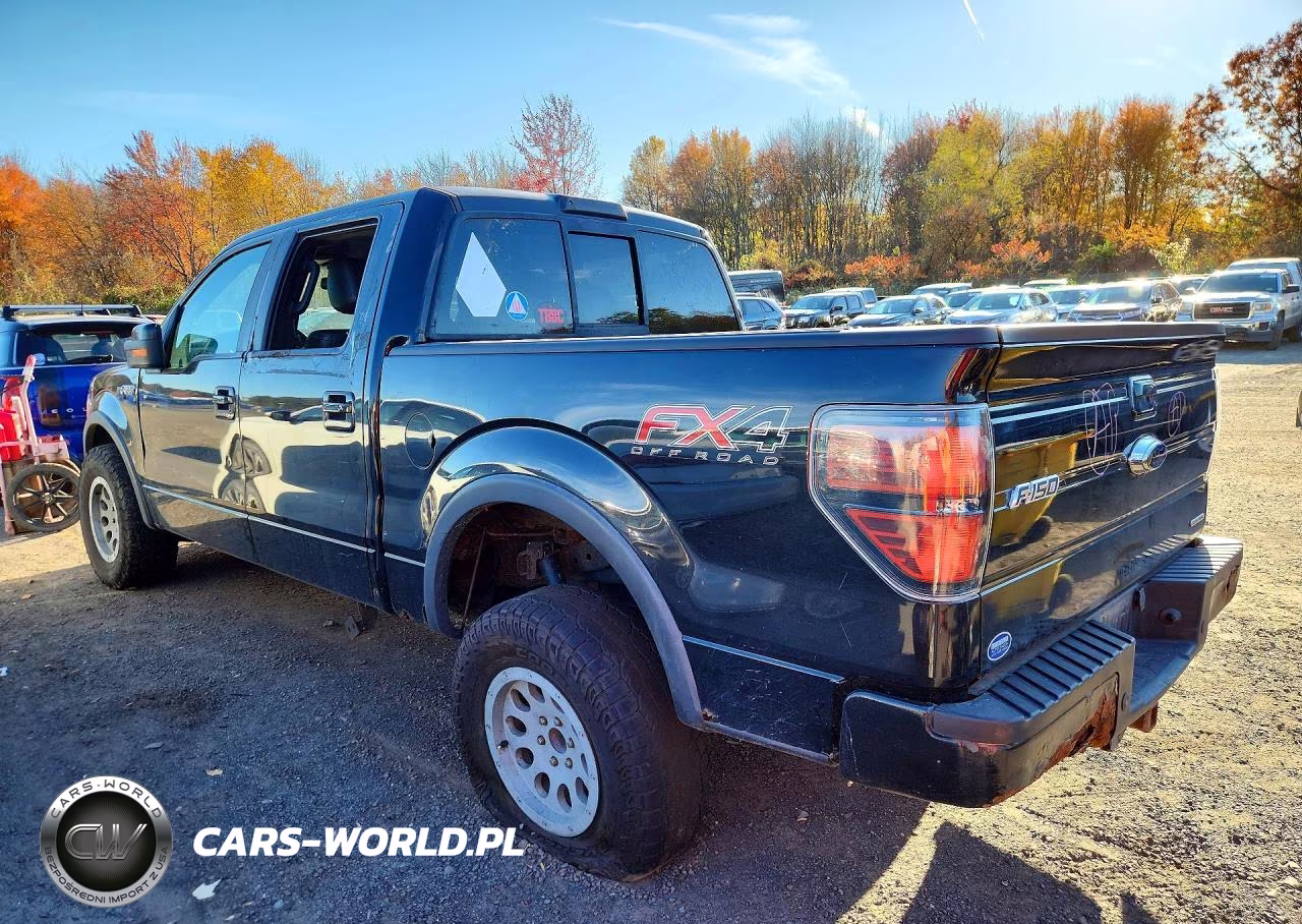 2012 Ford F150 Supercrew VIN:1FTFW1EF1CFA80065 - 2