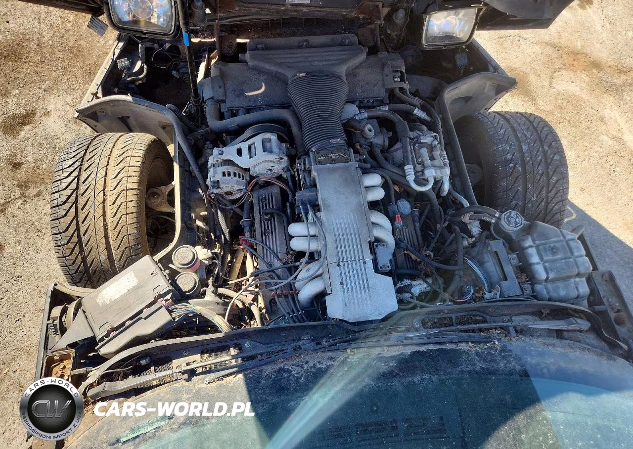 1991 Chevrolet Corvette VIN:1G1YY2387M5109596 - 11