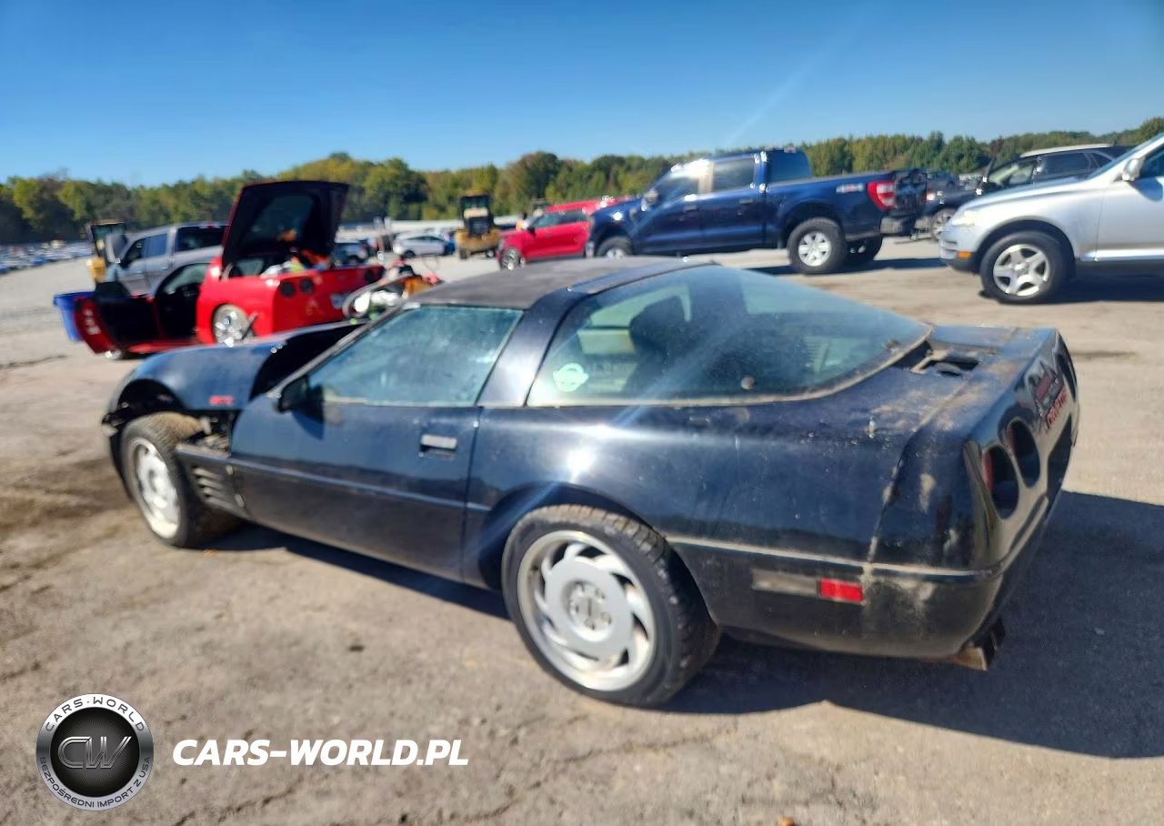 1991 Chevrolet Corvette VIN:1G1YY2387M5109596 - 2