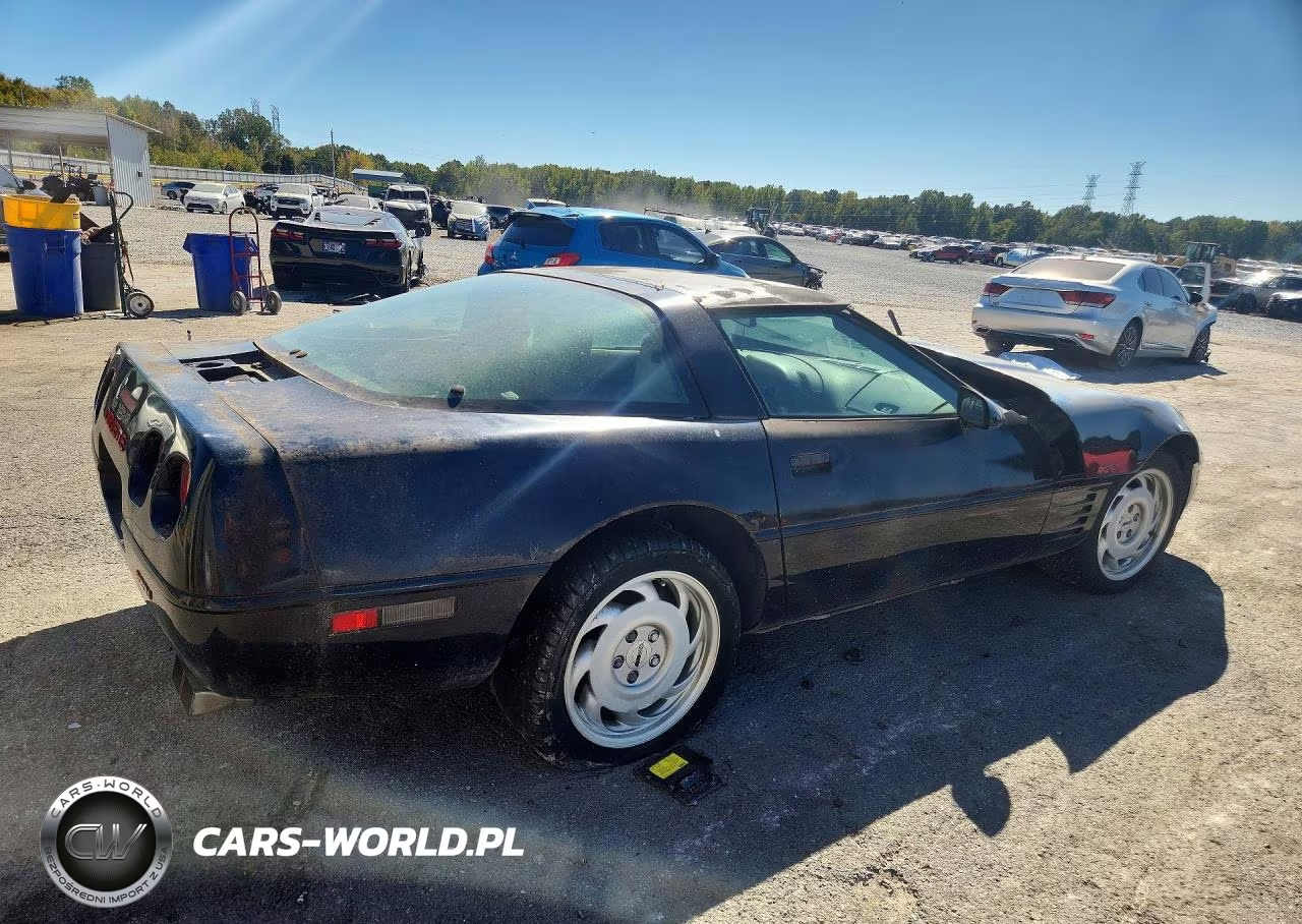 1991 Chevrolet Corvette VIN:1G1YY2387M5109596 - 3