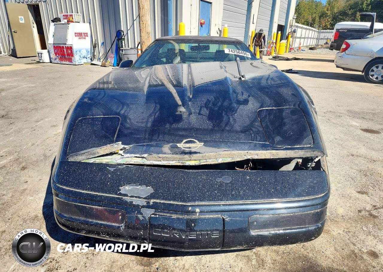 1991 Chevrolet Corvette VIN:1G1YY2387M5109596 - 5