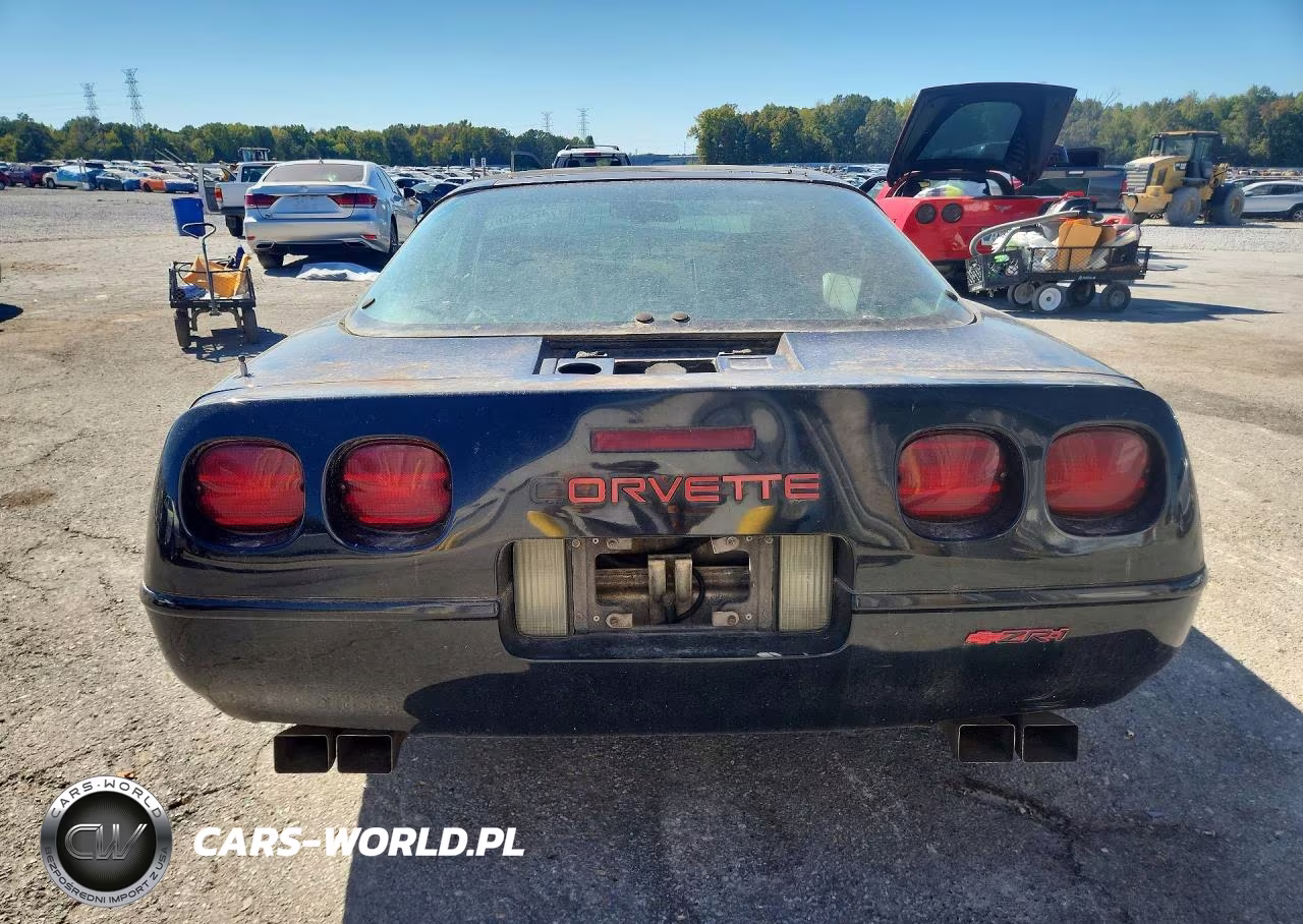 1991 Chevrolet Corvette VIN:1G1YY2387M5109596 - 6