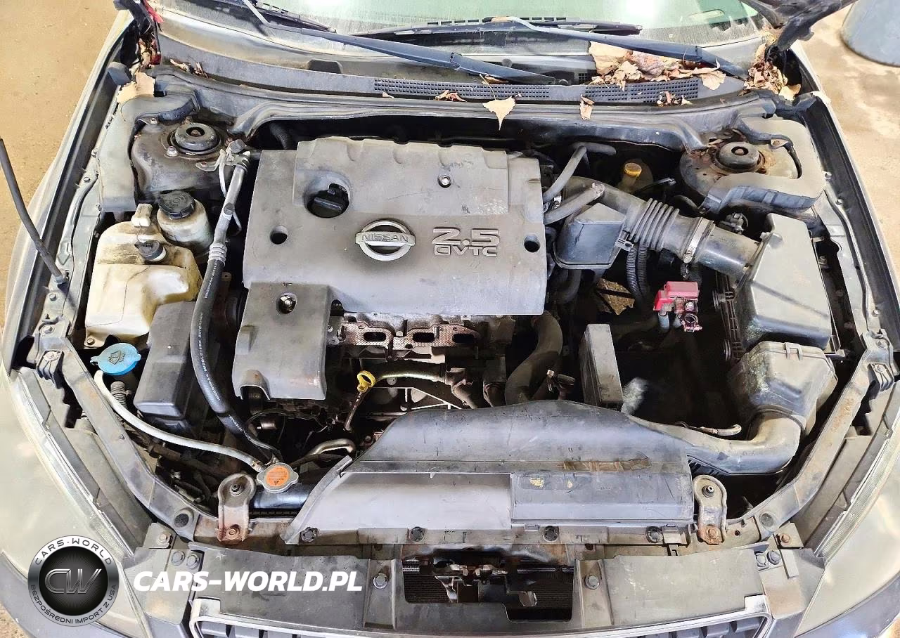 2006 Nissan Altima 2.5 VIN:1N4AL11D16C122690 - 11