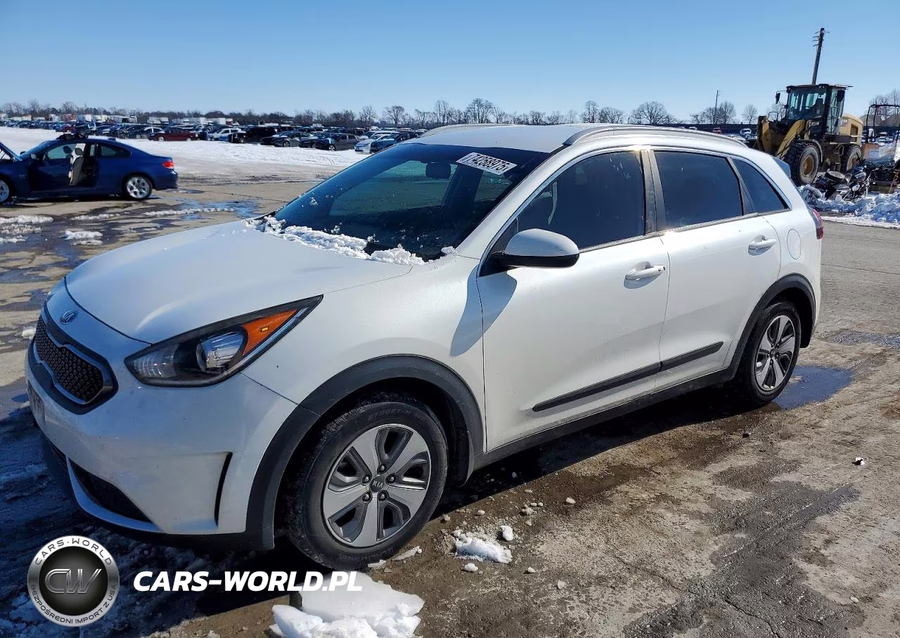 2019 Kia Niro Fe