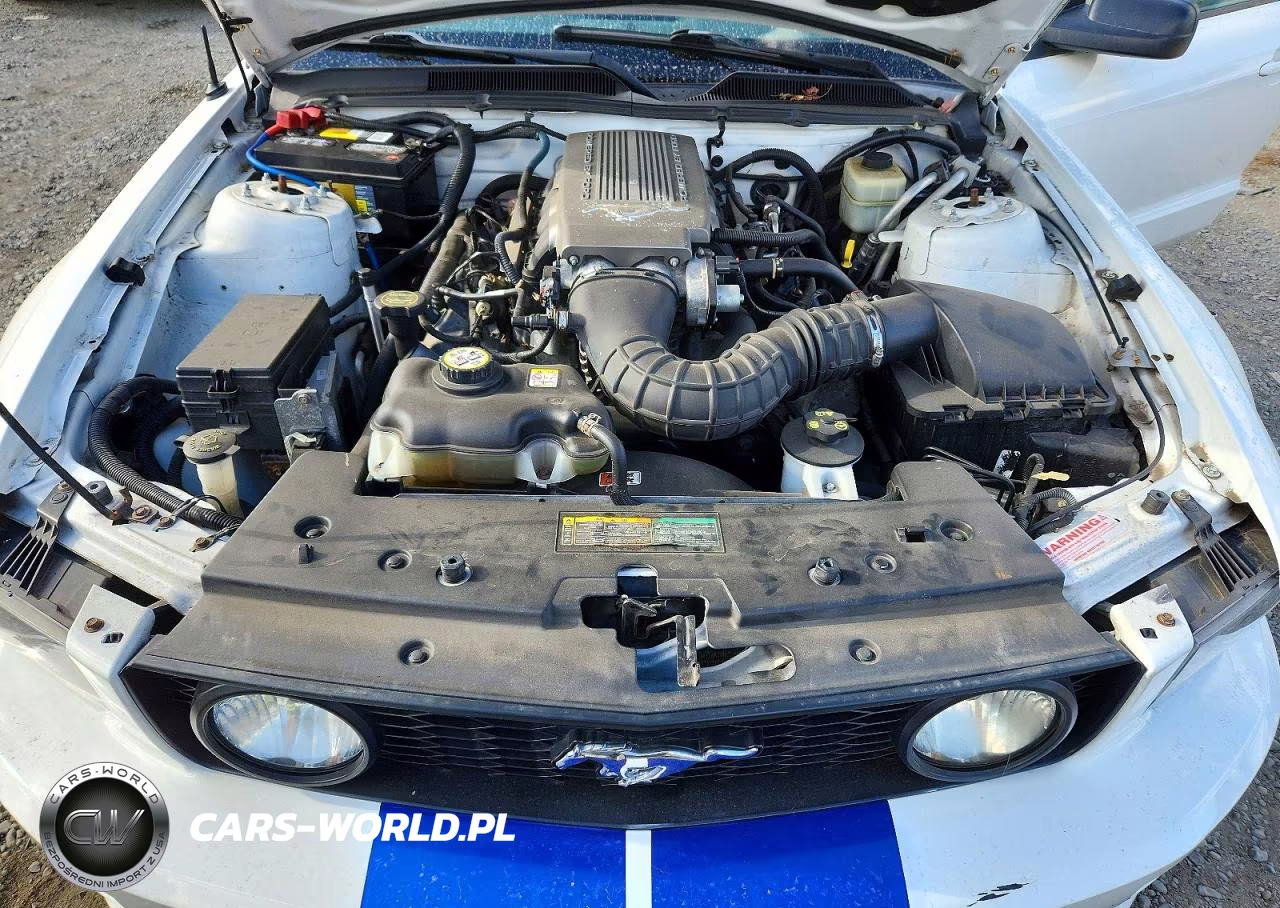 2008 Ford Mustang Gt VIN:1ZVHT82H885170243 - 11
