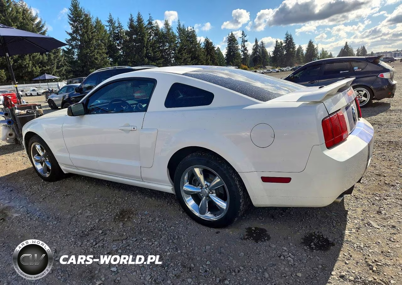 2008 Ford Mustang Gt VIN:1ZVHT82H885170243 - 2