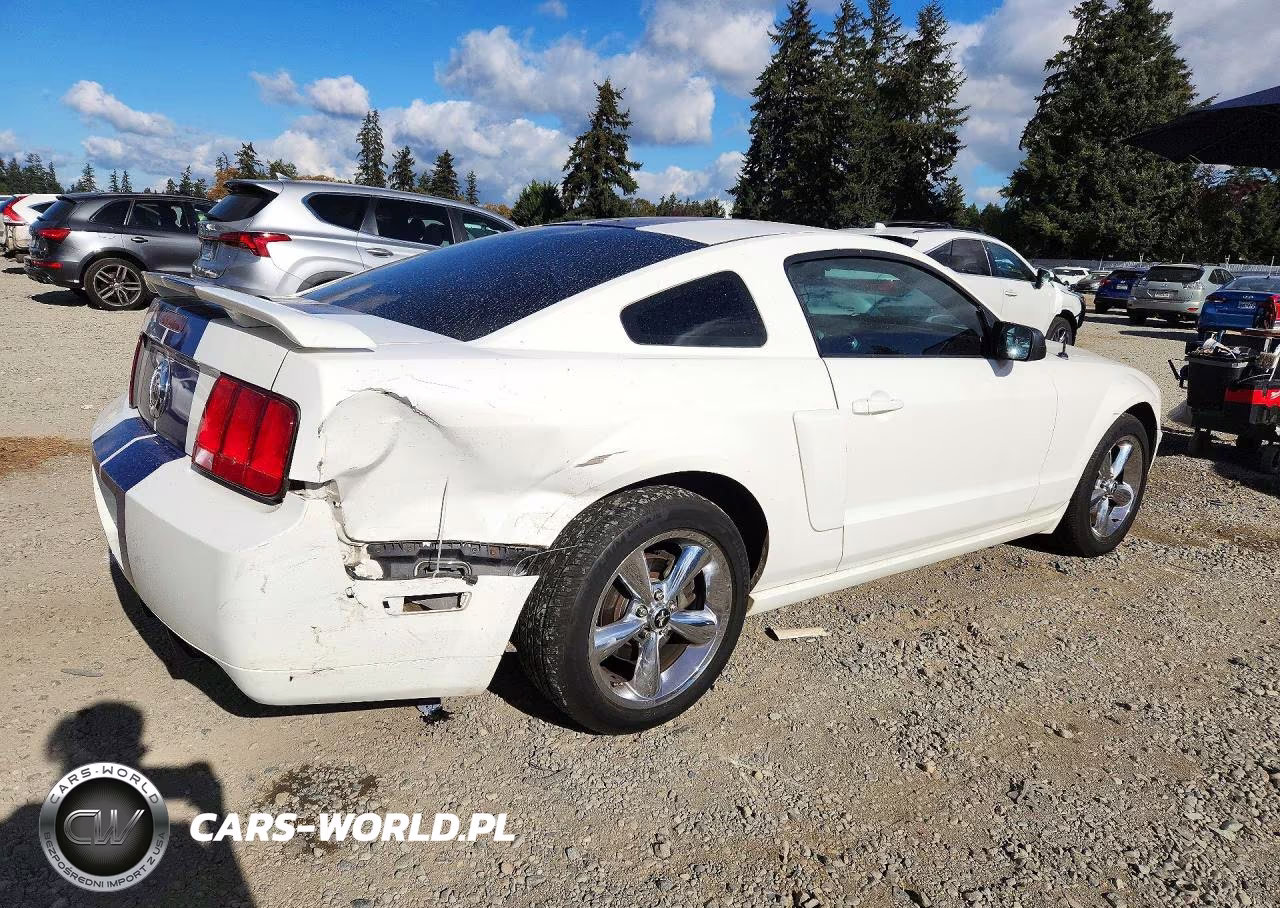 2008 Ford Mustang Gt VIN:1ZVHT82H885170243 - 3
