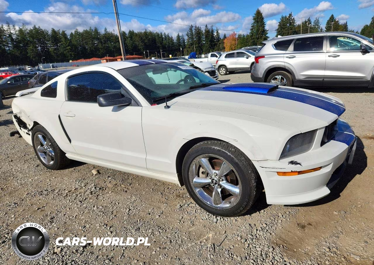 2008 Ford Mustang Gt VIN:1ZVHT82H885170243 - 4