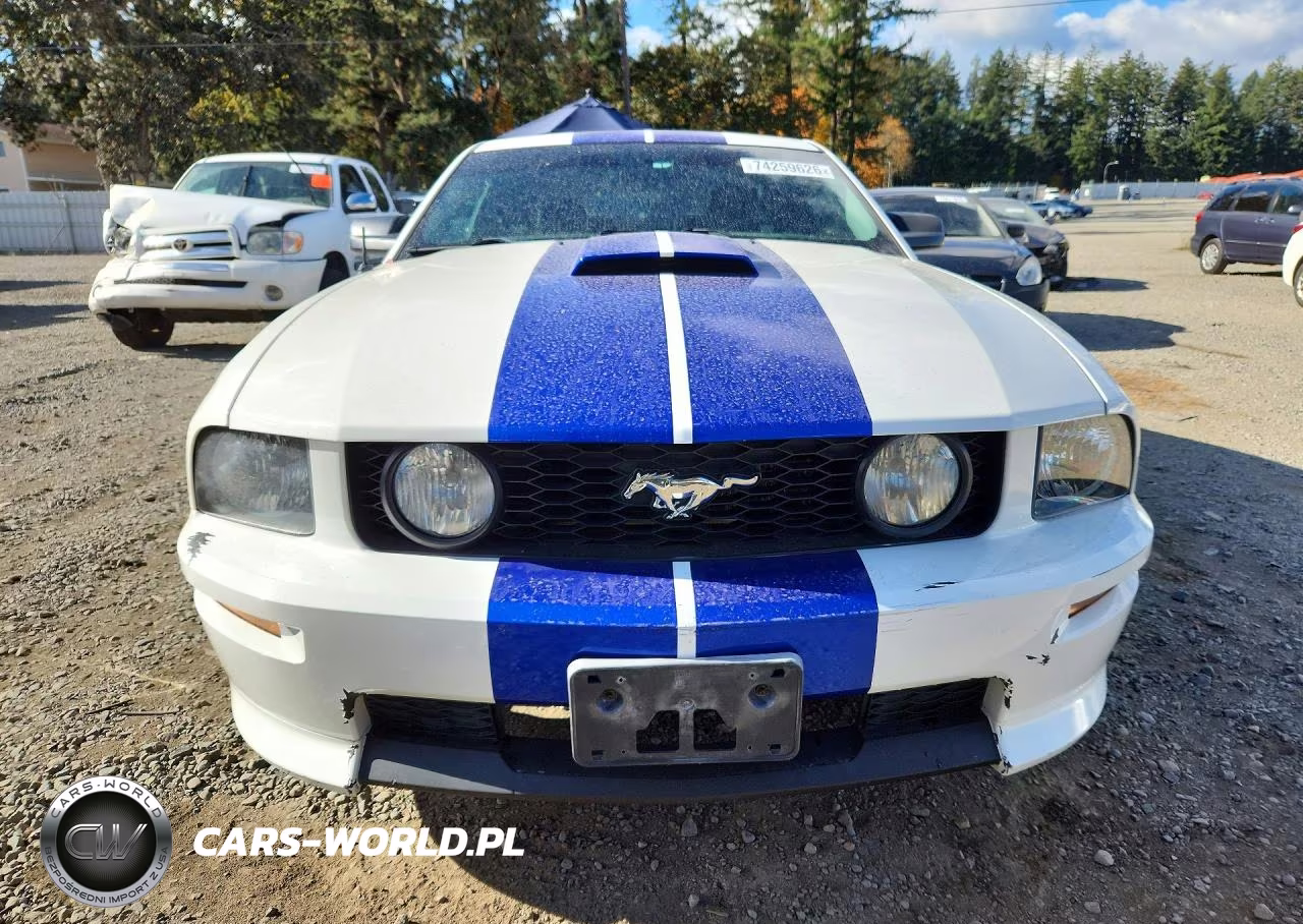 2008 Ford Mustang Gt VIN:1ZVHT82H885170243 - 5