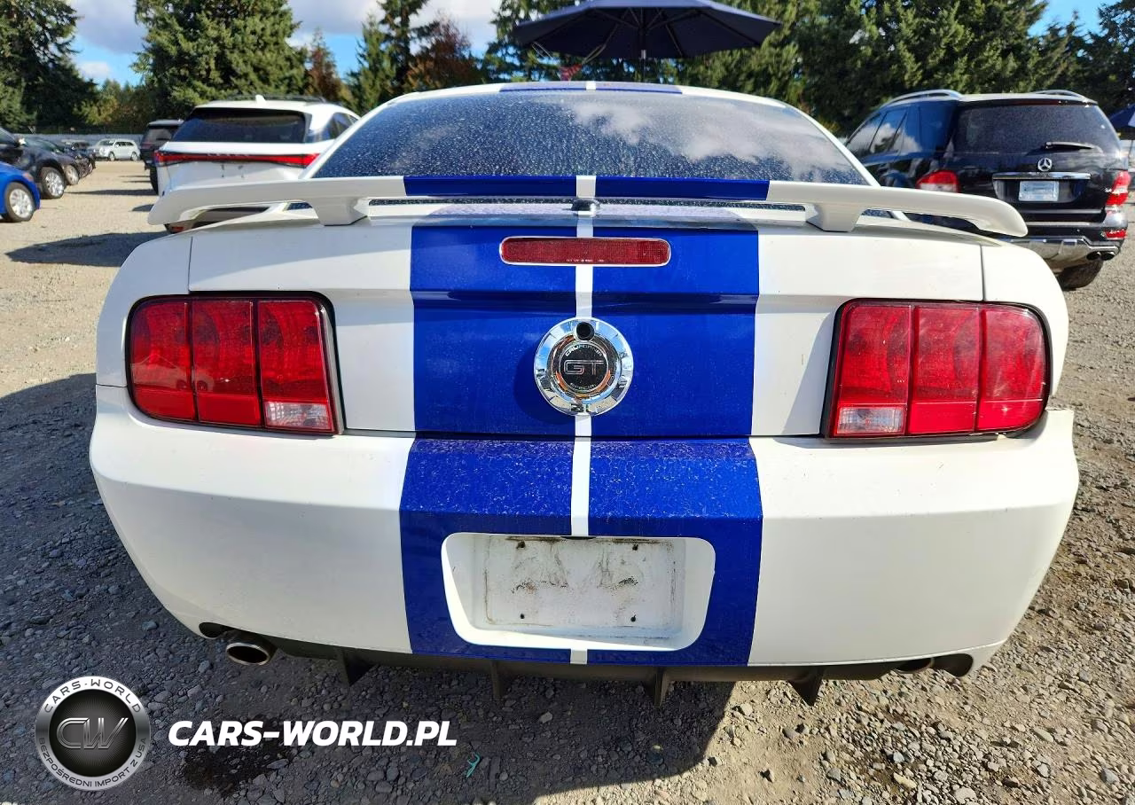 2008 Ford Mustang Gt VIN:1ZVHT82H885170243 - 6