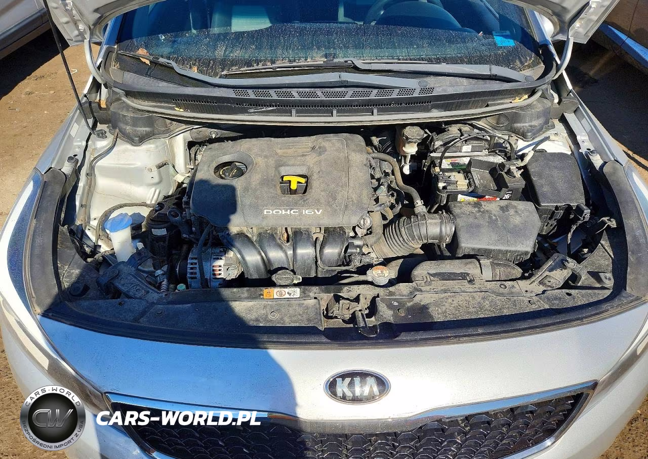 2018 Kia Forte Lx VIN:3KPFL4A70JE238637 - 11