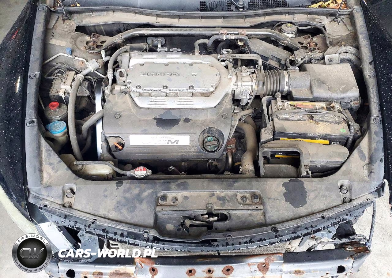 2009 Honda Accord Exl VIN:1HGCS228X9A005205 - 11