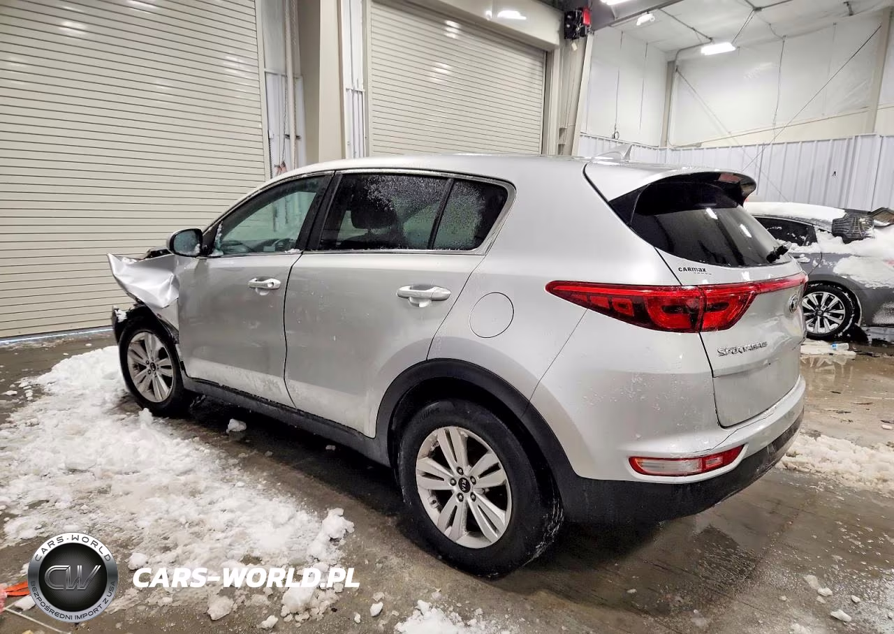 2019 Kia Sportage Lx VIN:KNDPM3AC8K7599317 - 2