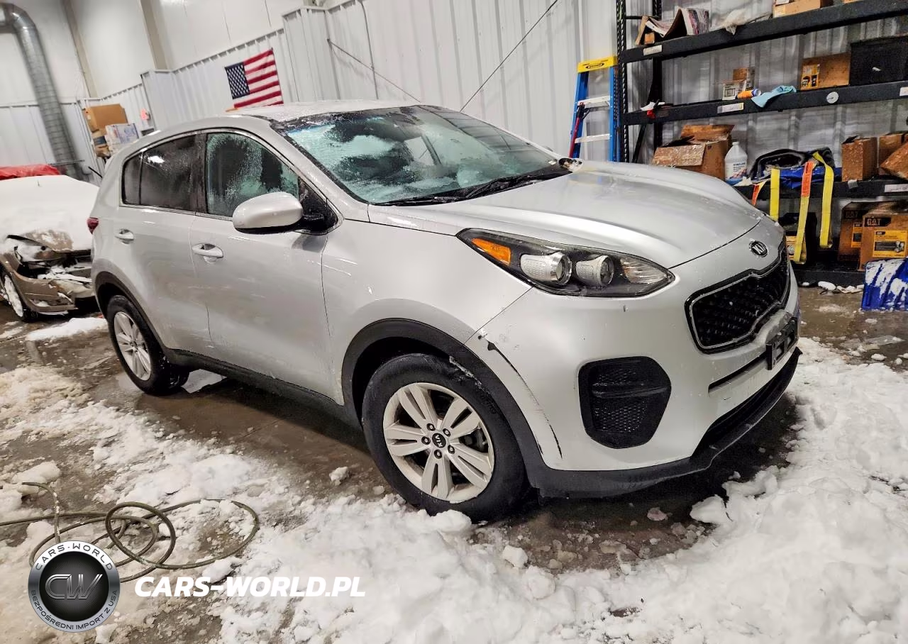 2019 Kia Sportage Lx VIN:KNDPM3AC8K7599317 - 4