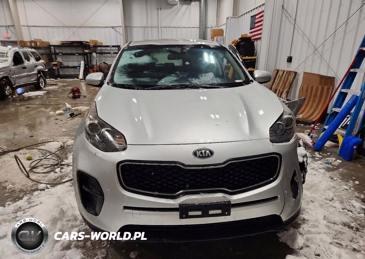 2019 Kia Sportage Lx VIN:KNDPM3AC8K7599317 - 5