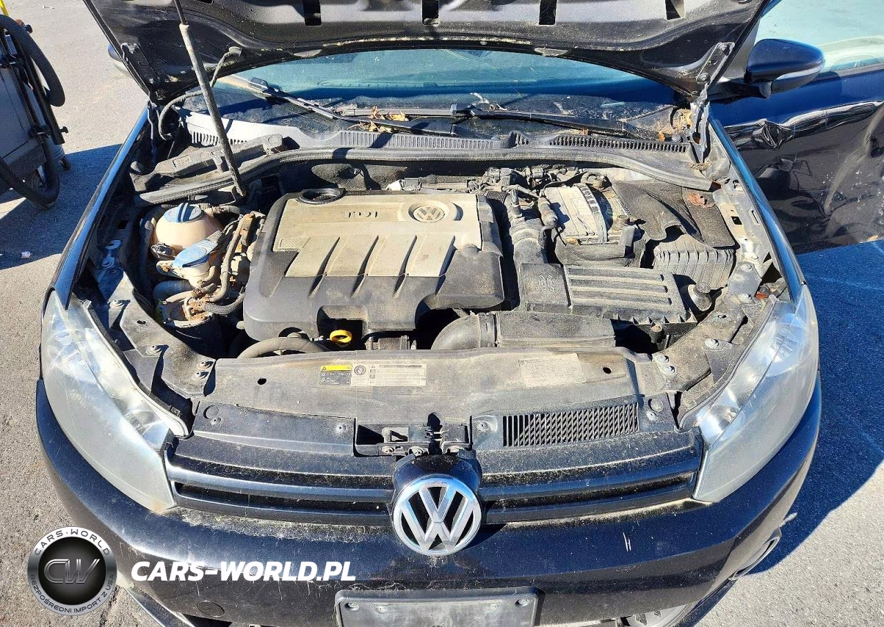 2014 Volkswagen Golf VIN:WVWNM7AJ3EW003523 - 11