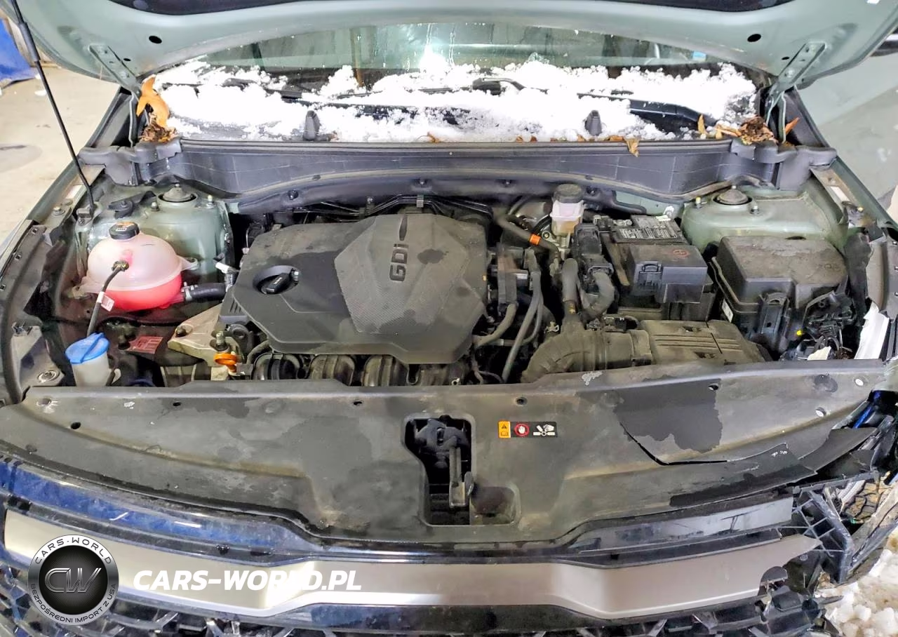2023 Kia Sportage X-Pro VIN:5XYK7CAF6PG100021 - 12