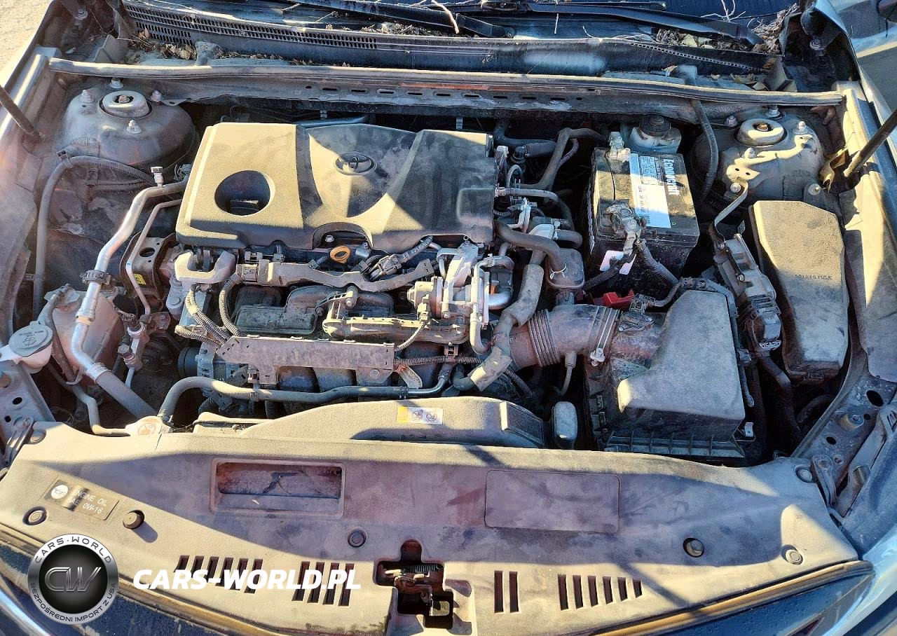 2019 Toyota Camry Se VIN:4T1B11HK8KU231723 - 11