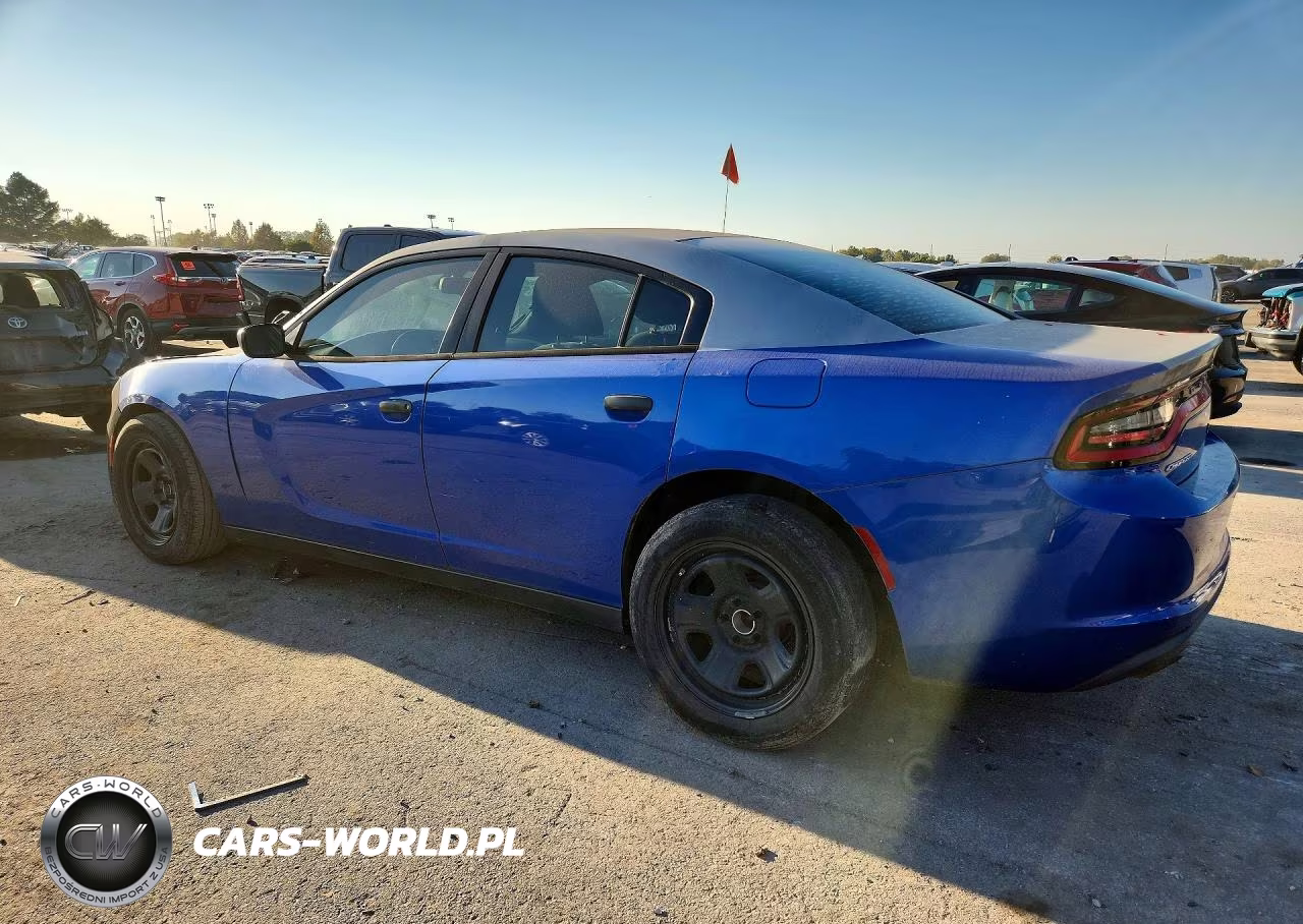 2015 Dodge Charger Police VIN:2C3CDXAT9FH928143 - 2