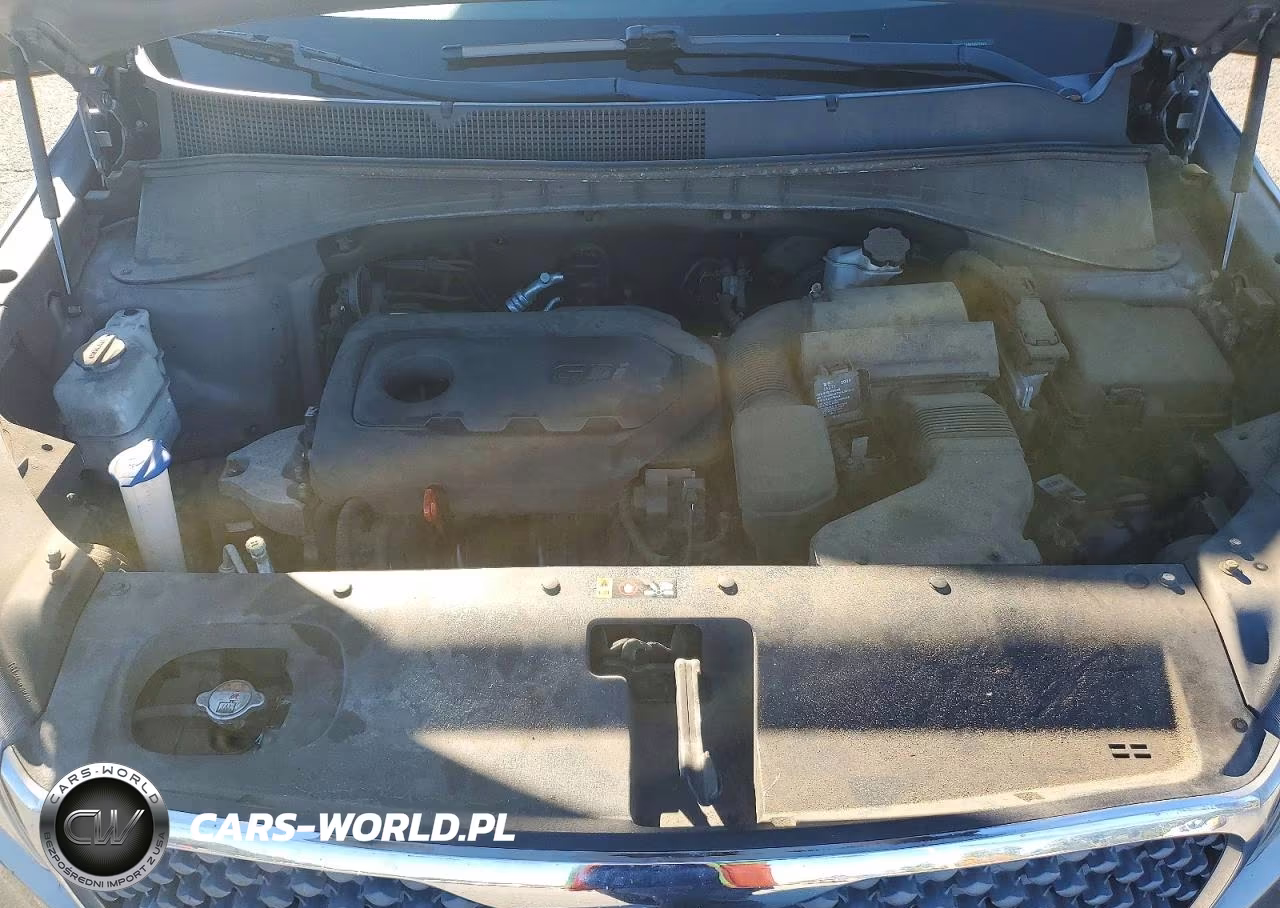 2018 Kia Sorento Lx VIN:5XYPG4A39JG371910 - 12