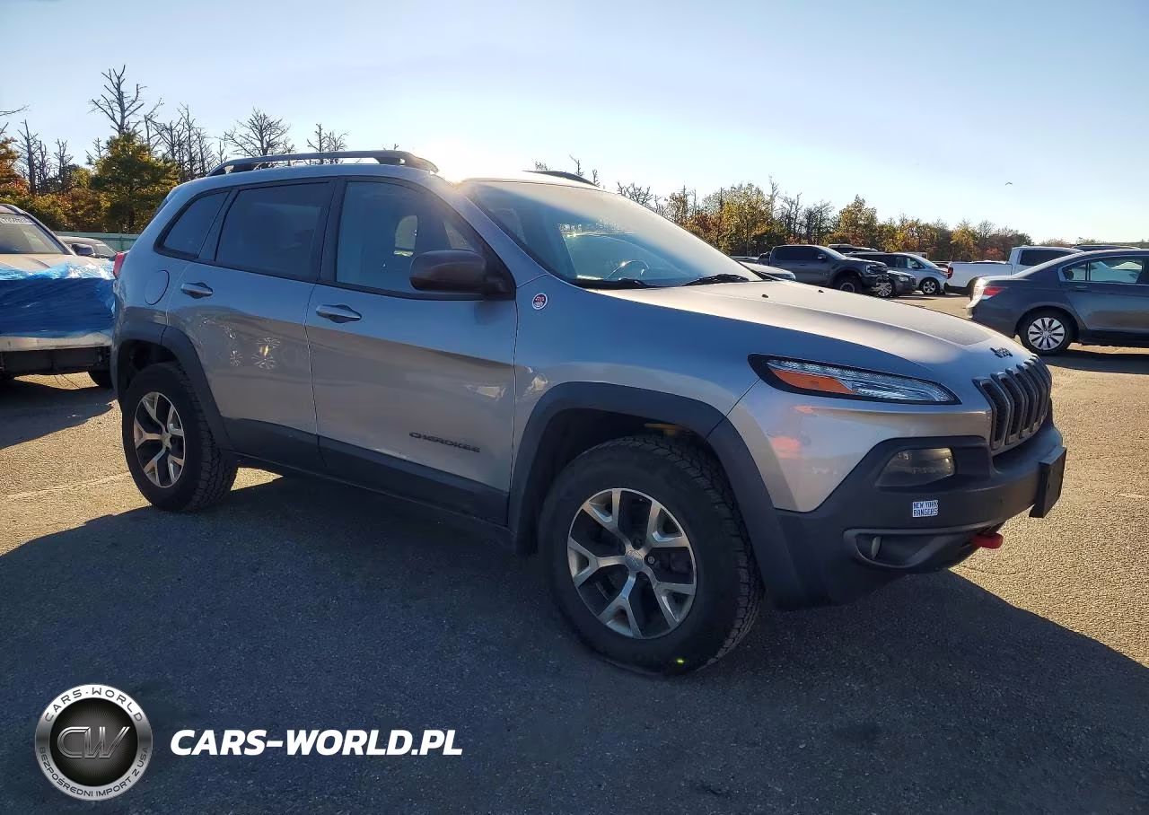 2014 Jeep Cherokee Trailhawk VIN:1C4PJMBSXEW104176 - 4