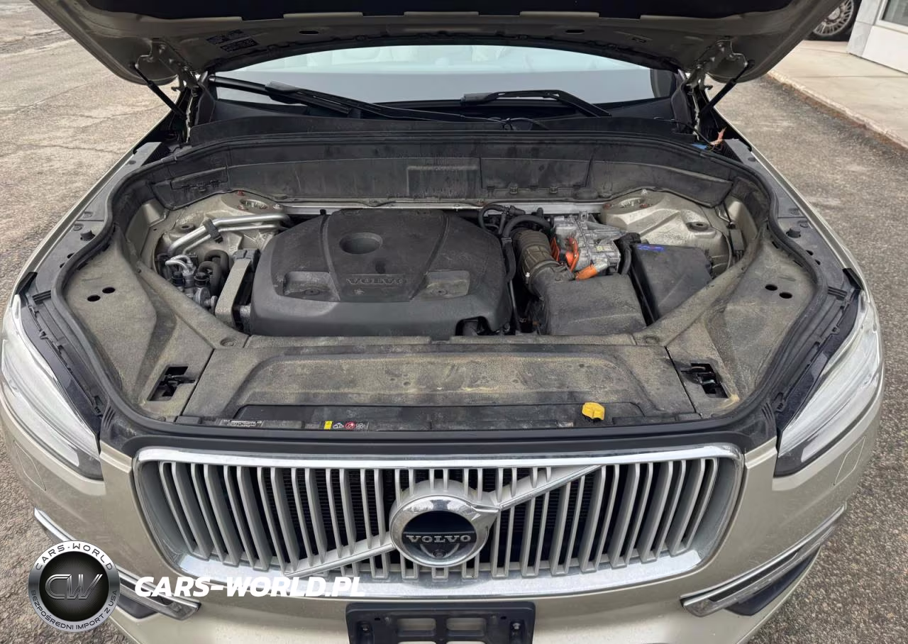 2016 Volvo Xc90 Hybrid T8 Inscription VIN:YV4BC0PL9G1048520 - 9