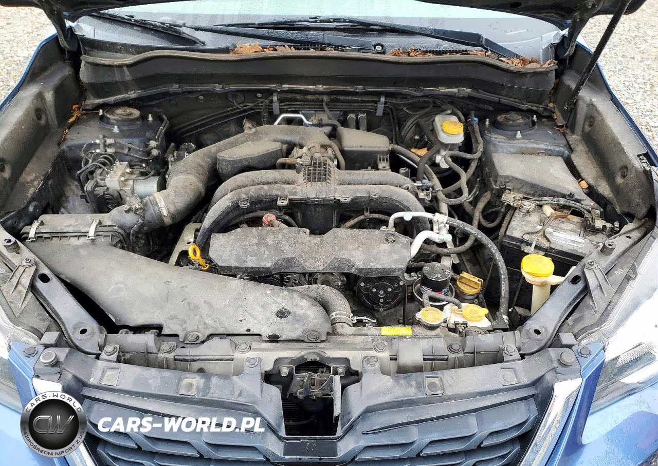 2017 Subaru Forester 2.5I Touring VIN:JF2SJAWC7HH533362 - 12