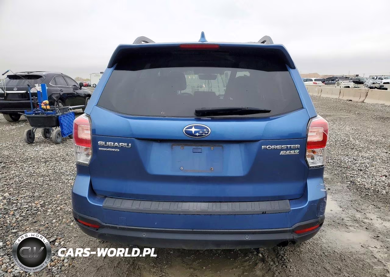 2017 Subaru Forester 2.5I Touring VIN:JF2SJAWC7HH533362 - 6