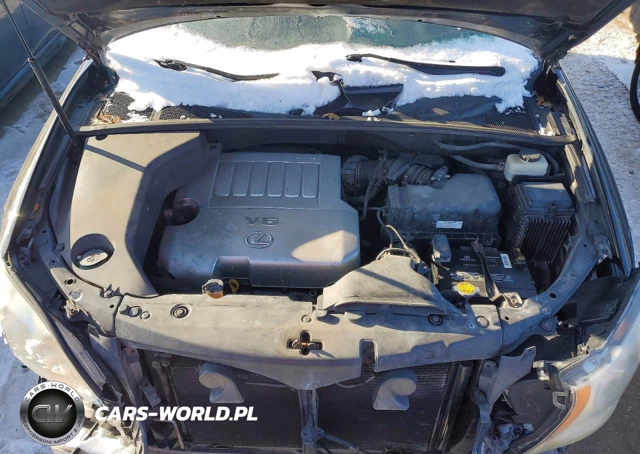 2009 Lexus Rx 350 VIN:2T2HK31U79C121123 - 12